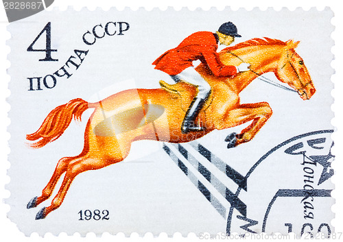 Image of Stamp printed in USSR shows a Donskaya horse, series horse breed