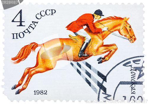 Image of Stamp printed in USSR shows a Donskaya horse, series horse breed