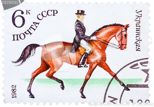 Image of Stamp printed in USSR shows a Ukrainian sports horse for Dressag