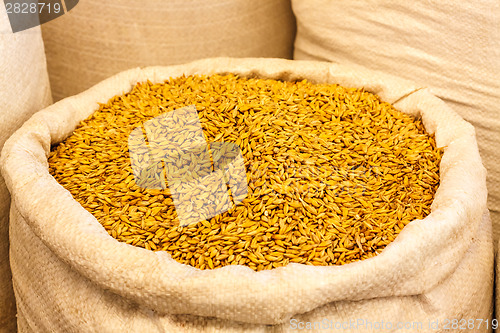 Image of Bag Of Burlap Filled With Yellow Cereal Grain