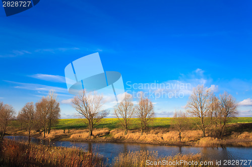 Image of Autumn Landscape In Sunny Day