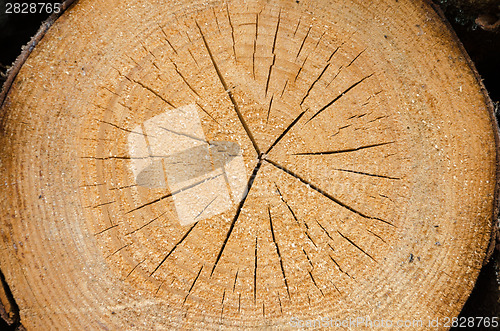 Image of structure of cut logs in the background 