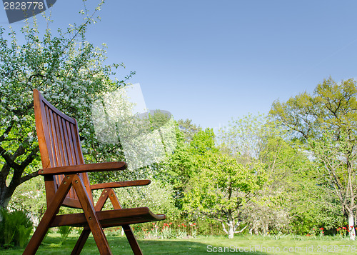 Image of brown garden chair spring garden tree background 