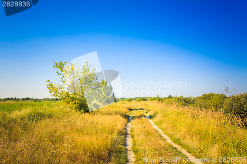 Image of Dusty Road