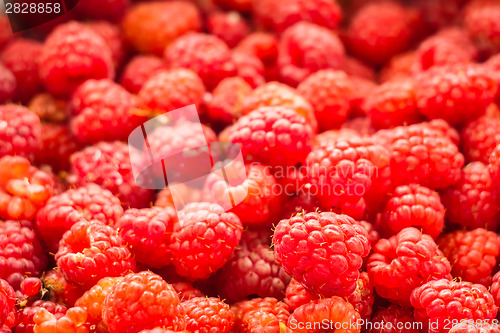 Image of Fresh Raspberries Background