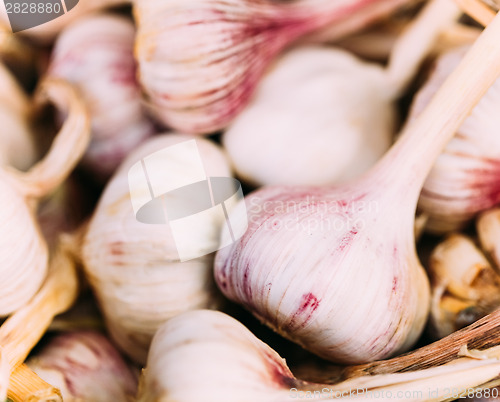 Image of Fresh organic raw garlic on local agricultural vegetable market