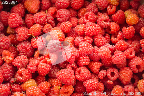 Image of Fresh Raspberries Background