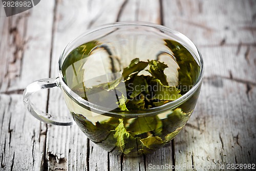 Image of cup of green tea 