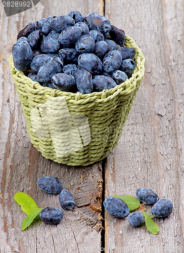 Image of Honeysuckle Berries