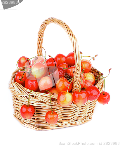 Image of Sweet Cherry