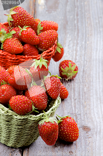 Image of Forest Strawberries