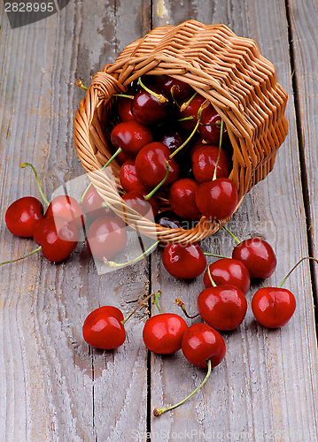 Image of Sweet Cherry