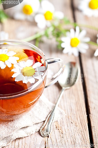 Image of cup of tea with chamomile flowers 