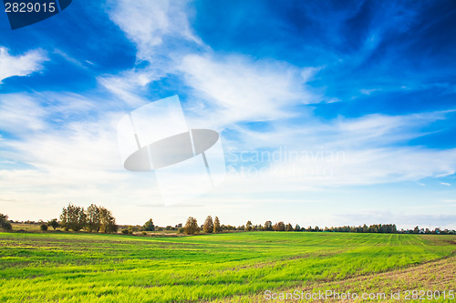 Image of Green Field And Blue Sky