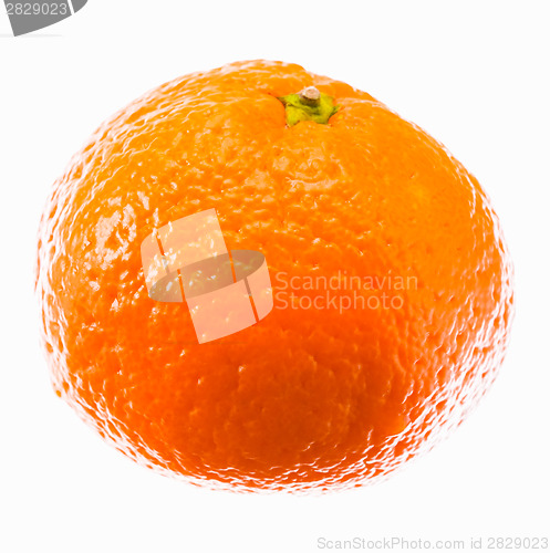 Image of Ripe Mandarin