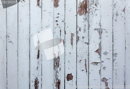Image of Paint Wooden  Background