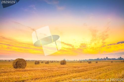 Image of Sunrise field, hay bale in Belarus.