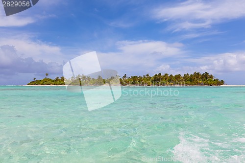 Image of tropical landscape