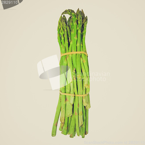 Image of Retro look Asparagus isolated