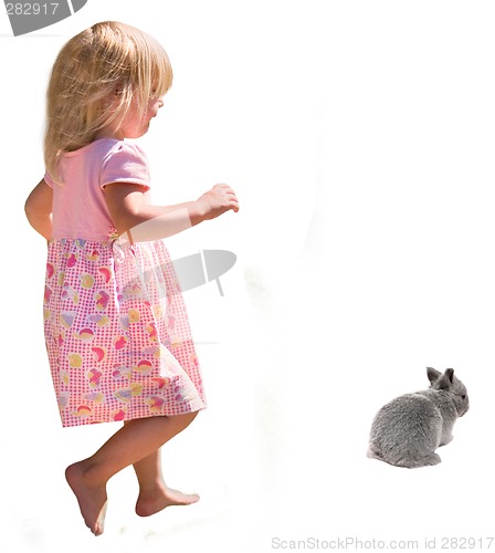 Image of Chasing a bunny