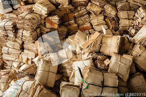 Image of Paper Waste For Recycle 
