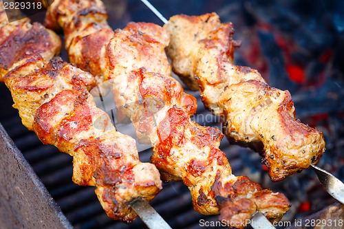 Image of grilled caucasus barbecue