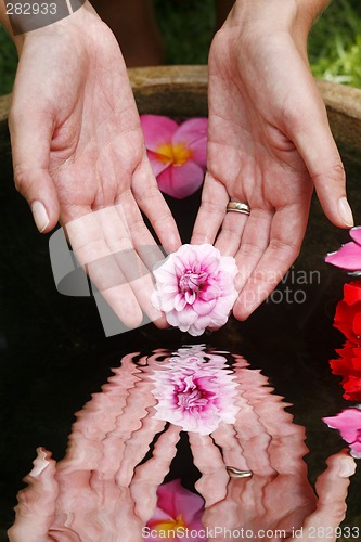 Image of Flower Hand Reflection