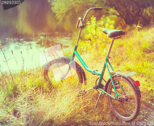 Image of Little green bicycle standing on green summer meadow