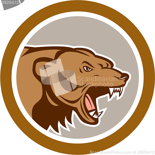 Image of Angry Grizzly Bear Head Circle Cartoon