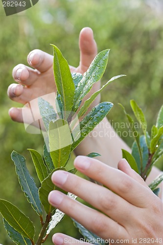 Image of Protect the plants