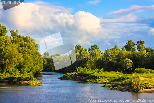 Image of View Of A River And The Forest