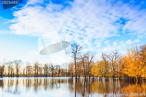 Image of Spring Landscape