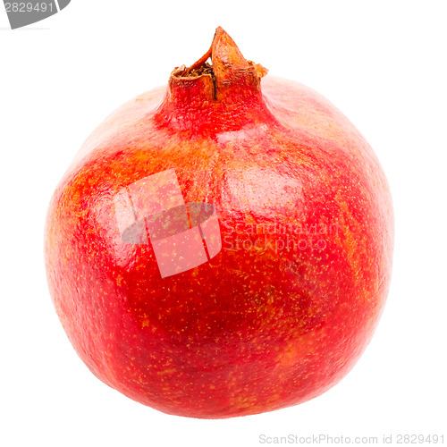 Image of Pomegranate On White Background
