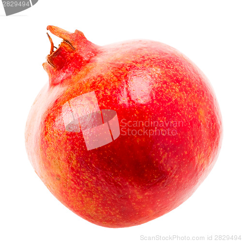 Image of Pomegranate On White Background