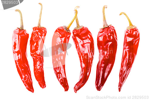 Image of Red Hot Chili Peppers