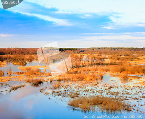 Image of Spring Landscape