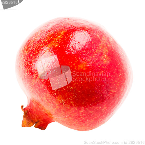 Image of Pomegranate On White Background