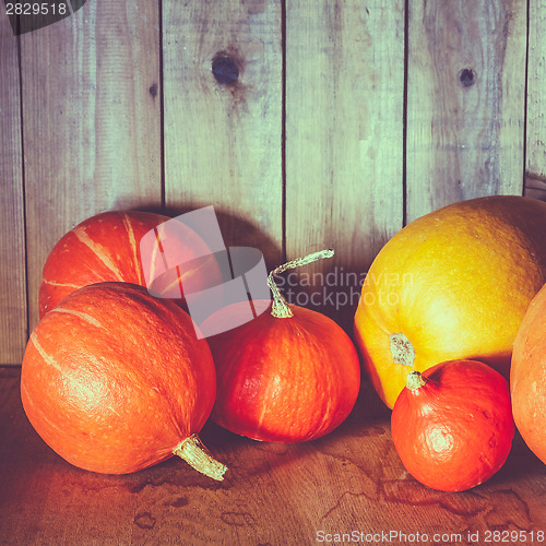 Image of Pumpkins On Grunge Wooden Backdrop Background