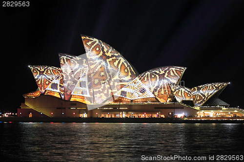 Image of Sydney Opera House in reptile snake print pattern Vivid Sydney
