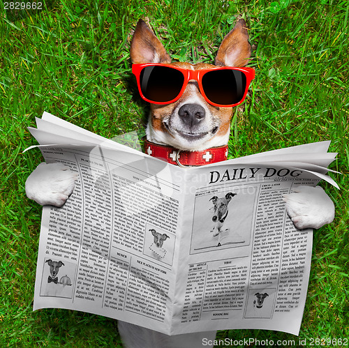 Image of dog reading newspaper 