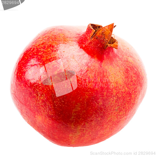 Image of Pomegranate On White Background