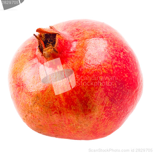 Image of Pomegranate On White Background