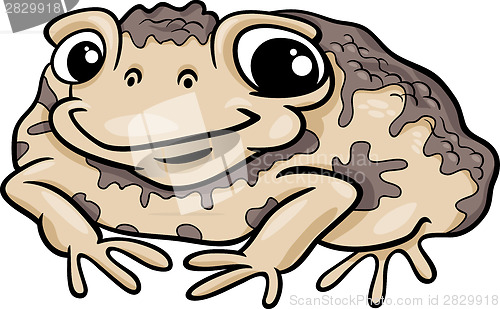 Image of toad amphibian cartoon illustration