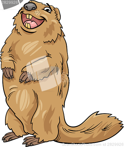 Image of marmot animal cartoon illustration