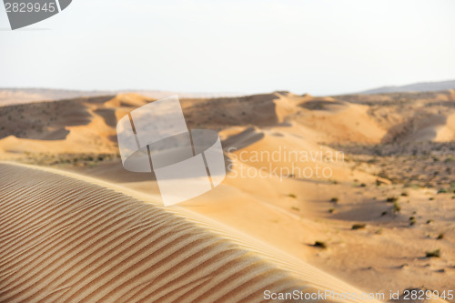 Image of Desert Wahiba Oman