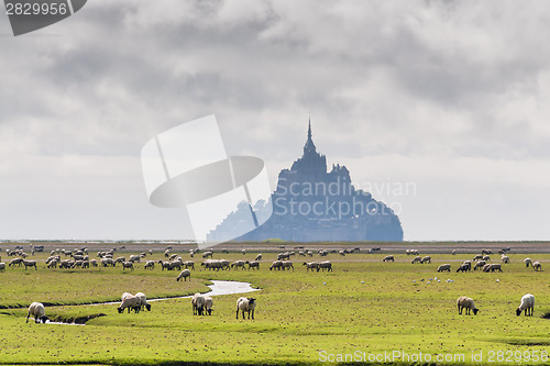 Image of Mount St Michel in Normandy