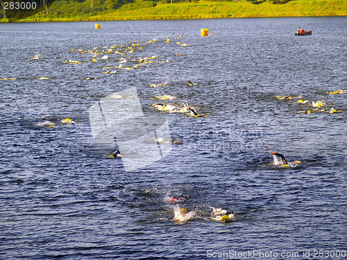 Image of triathlon swim