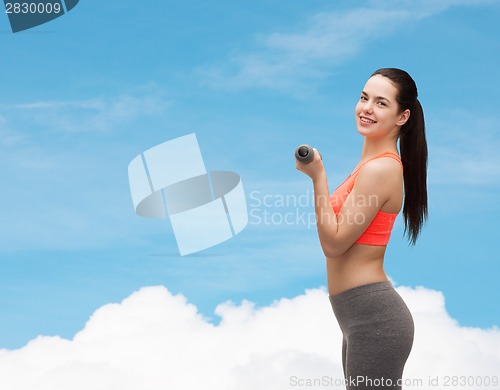 Image of young sporty woman with light dumbbells