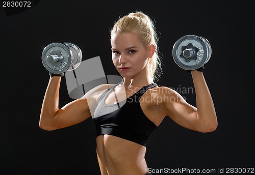 Image of sporty woman with heavy steel dumbbells