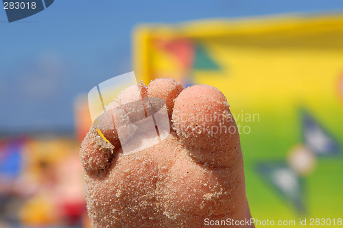 Image of Little foot